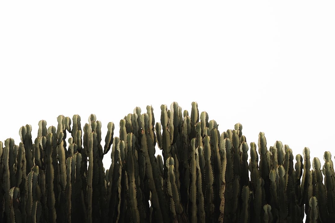 苹果四位AI大将出走,其间三位是华人